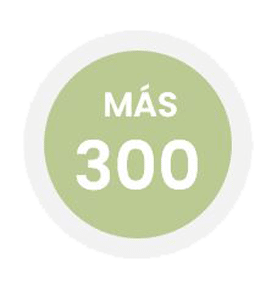 Ley antifraude y software de gestión empresarial - Nedtel Servicios