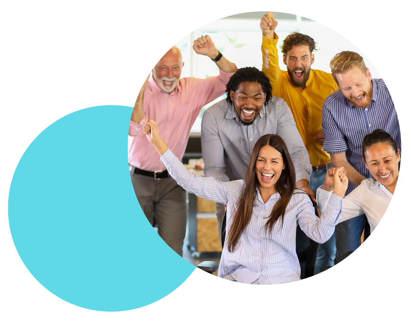 Contacto - Nedtel Servicios